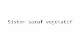 Sistem Saraf Vegetatif