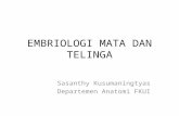 070414 - Embriologi Mata & Telinga - Ibu Sasanty.pptx