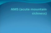 AMS (Acute Mountain Sickness)