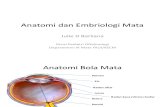 19.1 Anatomi Dan Embriologi Mata