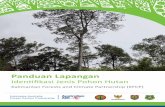 Panduan Lapangan Identifikasi Jenis Pohon Hutan