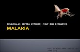 Malaria; Kitaran hidup dan Persediaan filem darah (BFMP)
