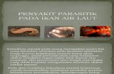 penyakit parasit ikan