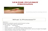 Vektor Penyakit Protozoa