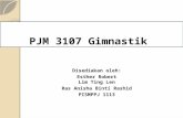 PJM 3107 Gimnastik.