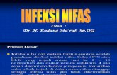 Infeksi Nifas [Dr. Endang]