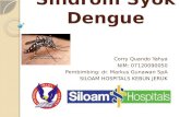 Sindrom Syok Dengue