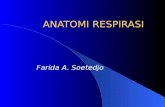 Anatomi Respirasi Farida