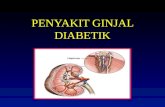 Nephropathy Diabetic Persadia
