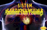 Sistem Kardiovaskular Struktur Jantung Manusia