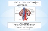 IT 11 - Kelainan Kelenjar Adrenal - ALW