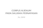 Corpus Alienum