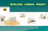 01 Biologi Lebah Madu_trisnowati