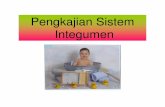 Kmb Slide Pengkajian Sistem Integumen