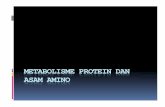 Metabolisme Asam Amino-13 [Compatibility Mode] PDF