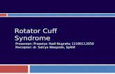 Rotator Cuff Syndrome Pras