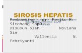 Sirosis Hepatis - Novi Vallen