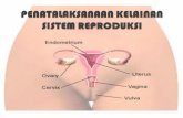 Penatalaksanaan Kelainan Sistem Reproduksi