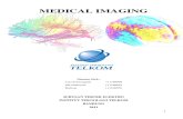 Makalah Medical Imaging 2