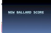 New Ballard Score Ppt