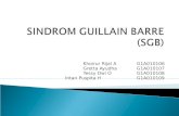 SINDROM GUILLAIN BARRE.ppt