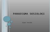Kuliah Sosiologi (3) - Paradigma Sosiologi