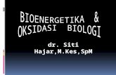 Kuliah Bioenergetika & Oksidasi Biologi