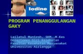 Program Penanggulangan Gaky 2013