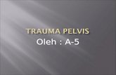 Trauma Pelvis