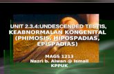 Keabnormalan Kongenital (Hipospadias, Epispadias, Fimosis, Parafimosis, Undescended Testis
