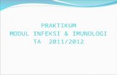 24. Prak-Infeksi & Imun-2011 - Bu Yuli