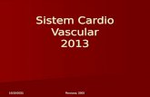 4. Sistem Cardio Vascular 2013