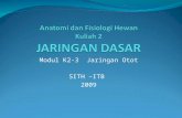 Anfiswan - K2-3 - Jaringan Otot Dan Saraf