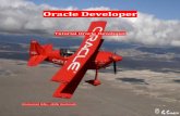 80051740 eBook Oracle Developer