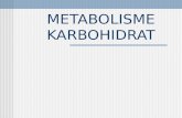 metabolisme karbohidrat(glikogen)
