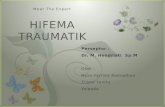 Referat Hifema