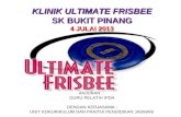 Ultimate Frisbee 2