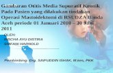 Slide Gambaran Otitis Media Supuratif Kronik1