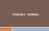 Thorax Normal - Bimbingan Coass