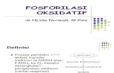 5_FOSFORILASI OKSIDATIF 05