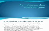 Pemakanan Dan Metabolisme
