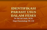 Identifikasi Parasit Usus Dalam Feses