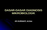 mikro diagnobtik