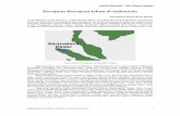 Kerajaan Kerajaan Islam di Indonesia