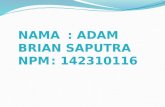 Adam Brian Saputra - Pengenalan Sistem Operasi