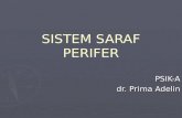 Sistem Saraf Perifer