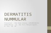 Dermatitis Numularis Ppt