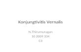 Konjungtivitis Vernalis_kelompok