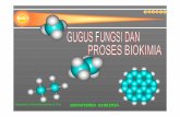 01_Gugus Fungsi Dan Proses Biokimia