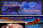 Butterfly  Flowers.ppt